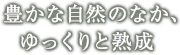 ˭ʼΤʤäȽ