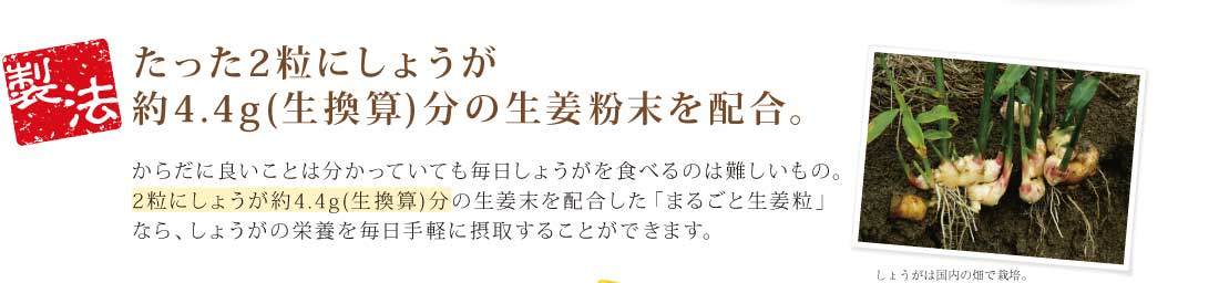 ���ä�2γ�ˤ��礦����4.4g(������)ʬ����ժʴ�����۹硣