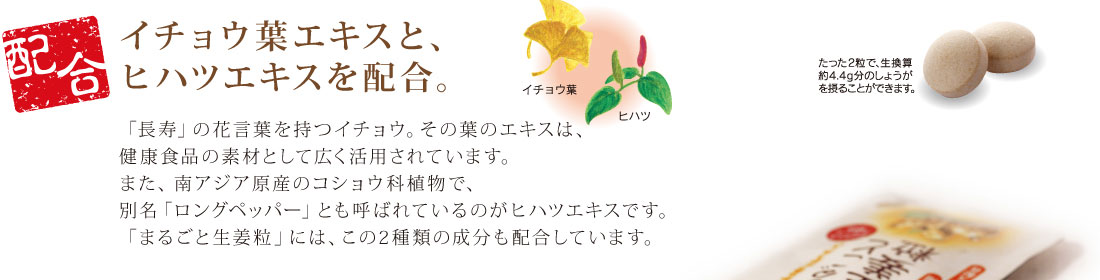 �����祦�ե������ȡ��ҥϥĥ��������۹硣